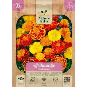 Afrikaantje bonita mengsel 50st - afbeelding 1