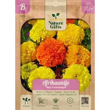 Afrikaantje hoge erecta mengsel 40st - afbeelding 1