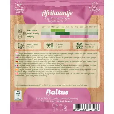 Afrikaantje hoge erecta mengsel 40st - afbeelding 2