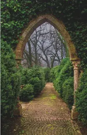 Alexsar Art tuindoek arch 140x90cm