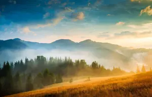 Alexsar Art tuindoek berg mist 140x90cm