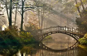 Alexsar Art tuindoek bos brug 210x140cm