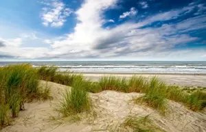 Alexsar Art tuindoek duinen strand 140x90cm
