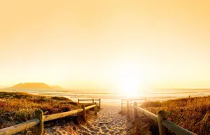 Alexsar Art tuindoek geel strand 210x140cm