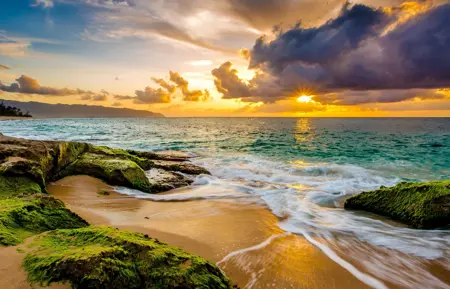 Alexsar Art tuindoek mossy beach 140x90cm