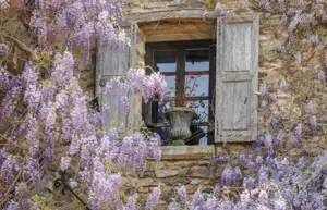 Alexsar Art tuindoek paarse bloemen raam 210x140cm
