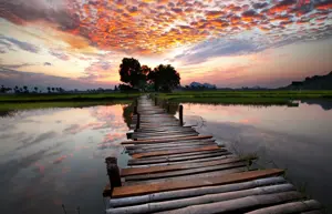 Alexsar Art tuindoek river sunset 140x90cm