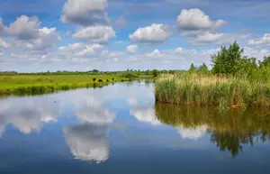 Alexsar Art tuindoek wateren 210x140cm