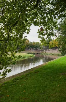 Alexsar Art tuinschilderij Bossche Broek Den Bosch 130x70cm