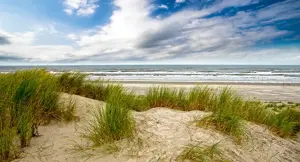 Alexsar Art tuinschilderij duinen strand 130x70cm