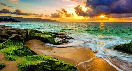 Alexsar Art tuinschilderij mossy beach 130x70cm