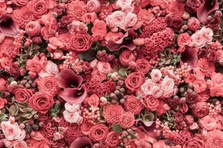 Alexsar Art tuinschilderij roze bloemen 130x70cm
