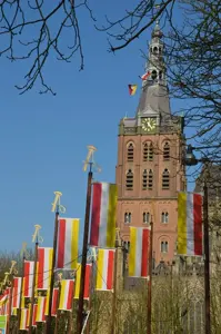 Alexsar Art tuinschilderij Sint Jan Carnaval 50x70cm