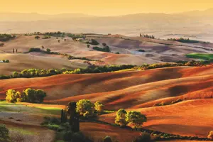 Alexsar Art tuinschilderij toscane 130x70cm
