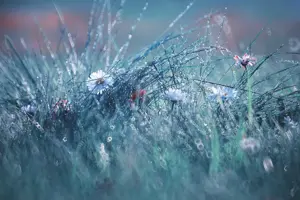 Alexsar Art uinschilderij lente 130x70cm