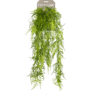 Asperge hangend l80cm groen