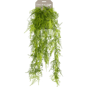 Asperge hangend l80cm groen