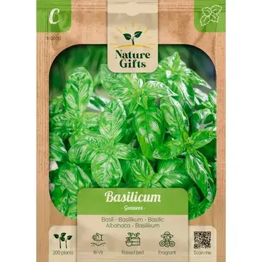 Basilicum genuees 200st - afbeelding 1