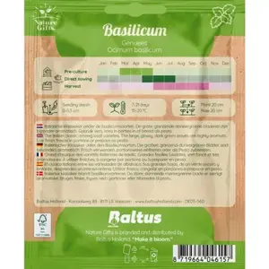 Basilicum genuees 200st - afbeelding 2