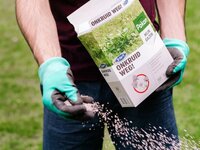 Bestrijdingsmiddelen