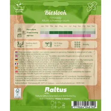 Bieslook fijnbladig per 1m2 - afbeelding 2