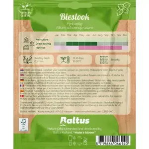 Bieslook fijnbladig per 1m2 - afbeelding 2