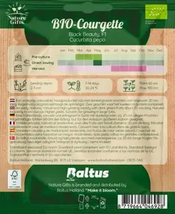 Bio courgette black beauty 7st - afbeelding 2