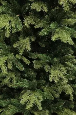 Black Box Kerstboom Brampton 185cm groen detail