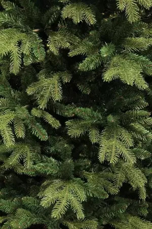 Black Box Kerstboom Brampton 185cm groen detail