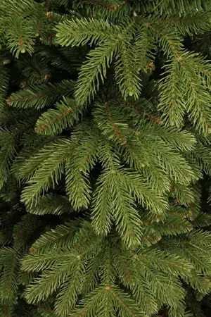 Black Box Kerstboom Brampton 215cm groen detail
