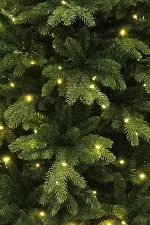 Black Box Kerstboom Brampton met led 120cm groen detail