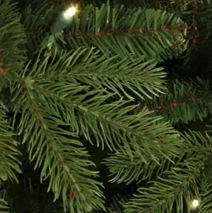 Black Box Kerstboom Brampton met led 155cm groen details