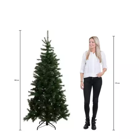 Black Box Kerstboom Brampton met led 185cm groen hoogte
