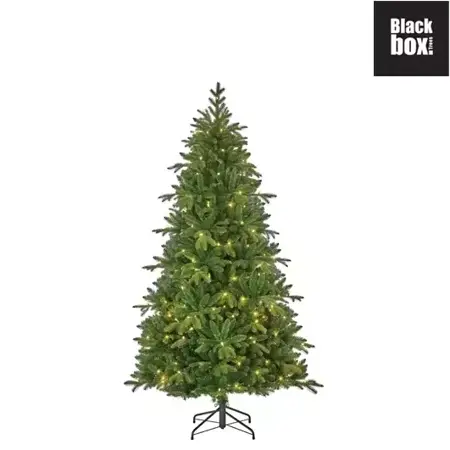 Black Box Kerstboom Brampton met led 185cm groen