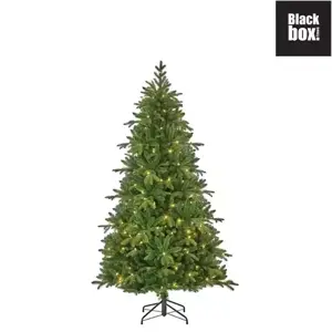 Black Box Kerstboom Brampton met led 185cm groen