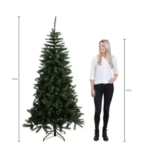 Black Box Kerstboom Brampton met led 215cm groen hoogte
