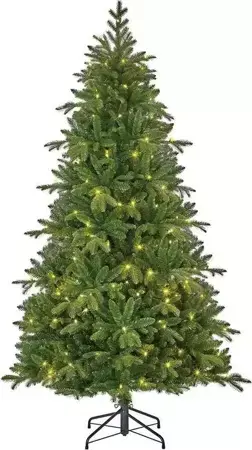 Black Box Kerstboom Brampton met led 230cm groen