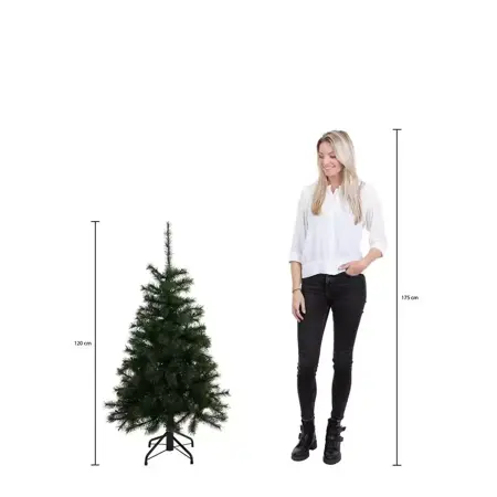 Black Box Kerstboom charlton 120cm groen hoogte