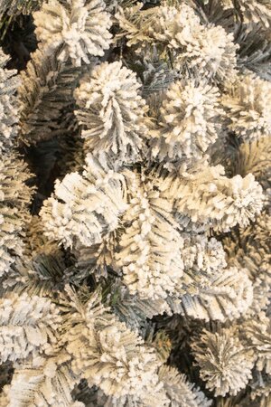 Black Box Kerstboom charlton 155cm groen/wit details