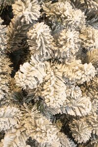 Black Box Kerstboom charlton 155cm groen/wit details
