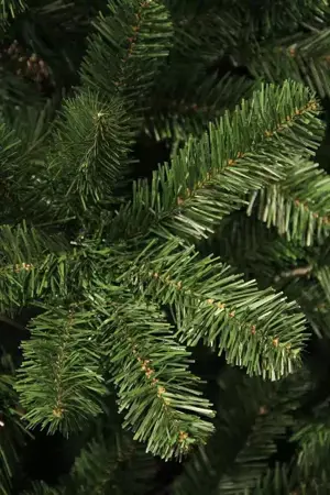 Black Box Kerstboom Charlton 185cm groen details