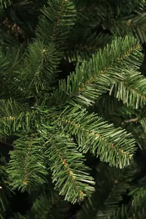 Black Box Kerstboom Charlton 185cm groen details
