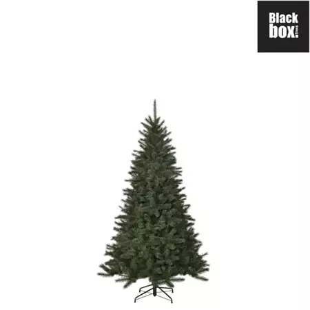 Black Box Kerstboom Toronto 120cm groen