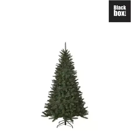 Black Box Kerstboom Toronto 230cm groen