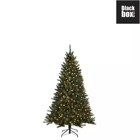 Black Box Kerstboom Toronto met led 120cm groen
