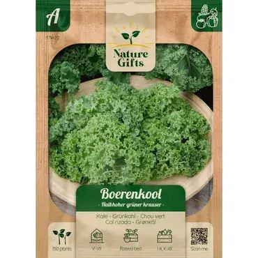 Boerenkool halfhoge groene gekruid 175st - afbeelding 1