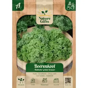 Boerenkool halfhoge groene gekruid 175st - afbeelding 1