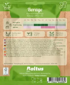 Borage komkommerkruid 50st - afbeelding 2