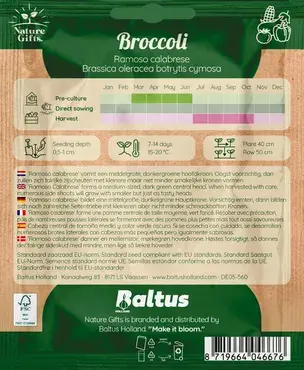 Broccoli ramoso calabrese 75st - afbeelding 2