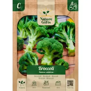 Broccoli ramoso calabrese 75st - afbeelding 1